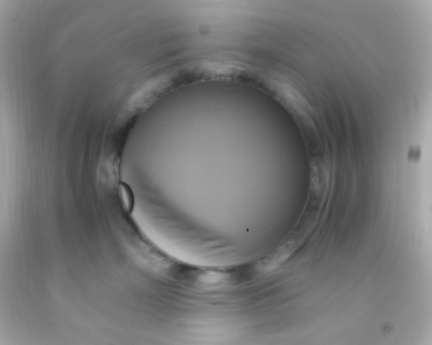 X0000091500718200709061922