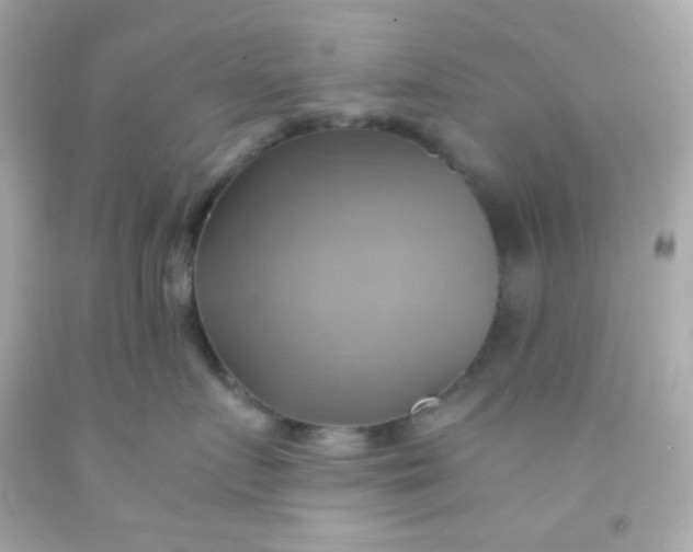 X0000091500719200709061922