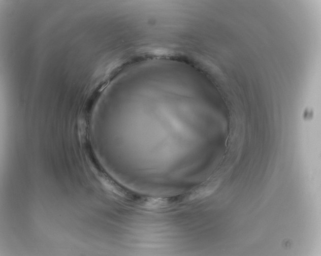 X0000091500720200709061922