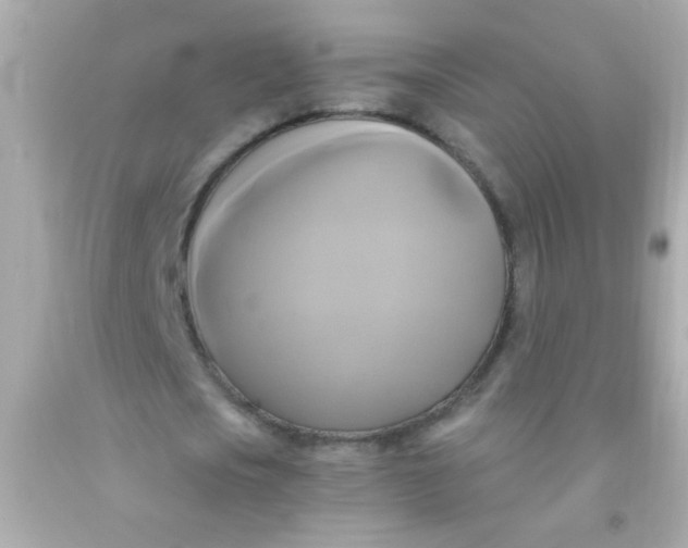 X0000091500721200709061921