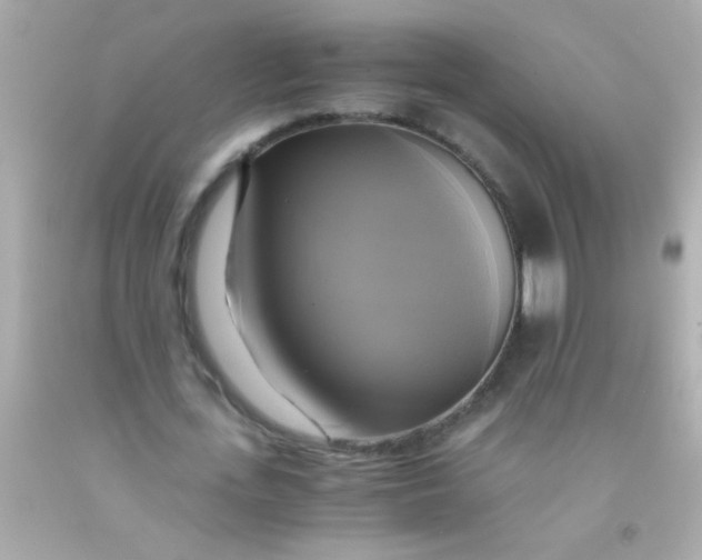 X0000091500723200709061921