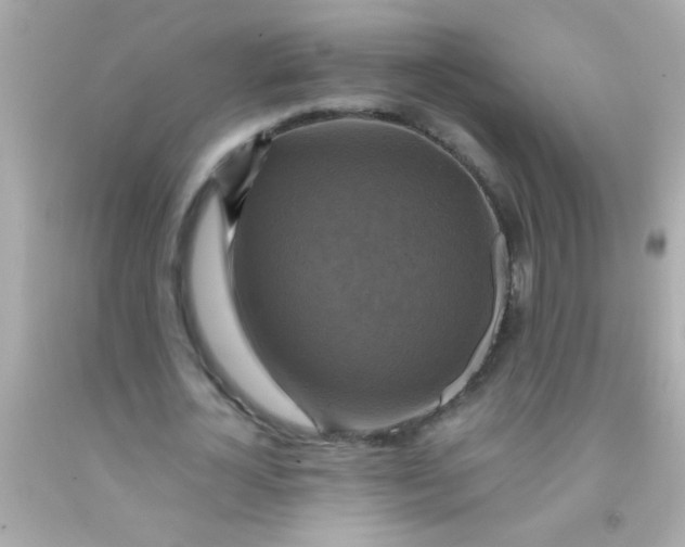 X0000091500724200709061922