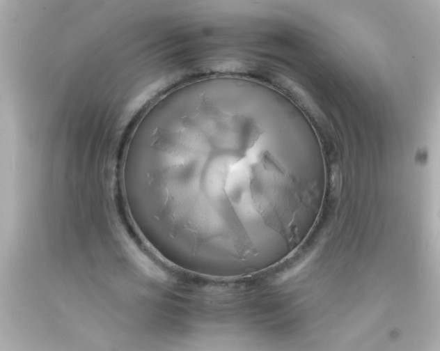 X0000091500725200709061922