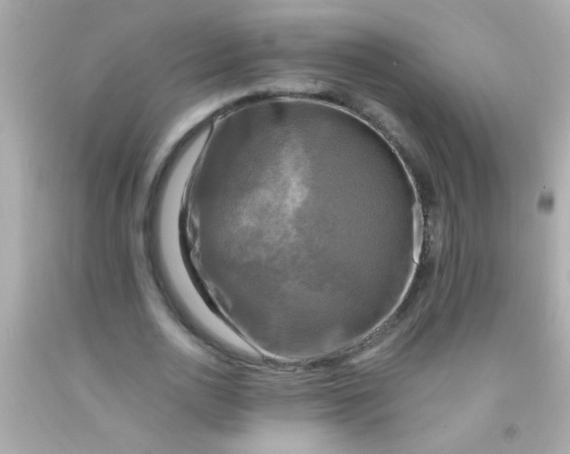 X0000091500726200709061922