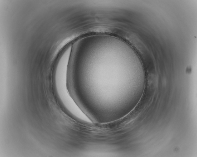 X0000091500727200709061922