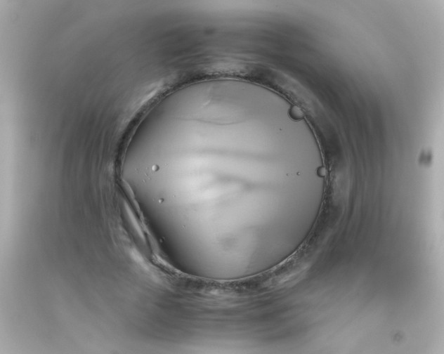 X0000091500729200709061922