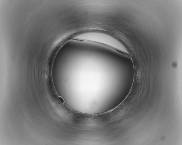 X0000091500732200709061922