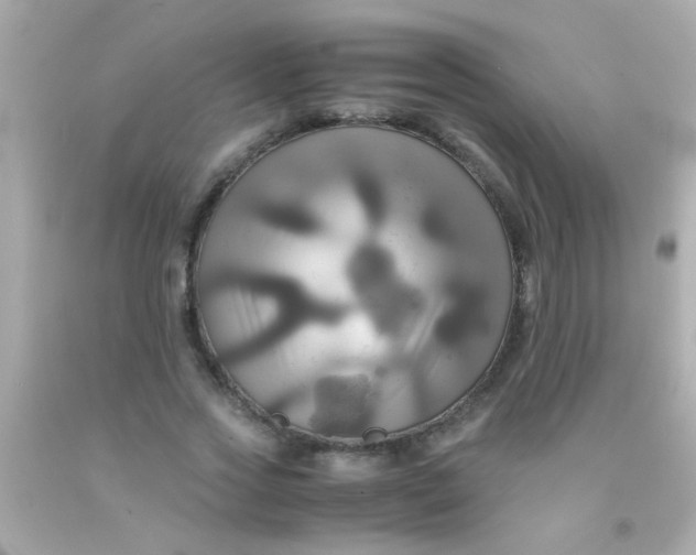 X0000091500733200709061922