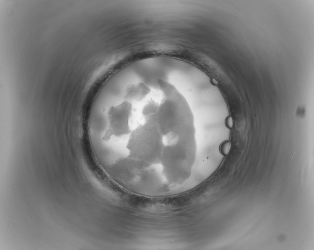 X0000091500734200709061922