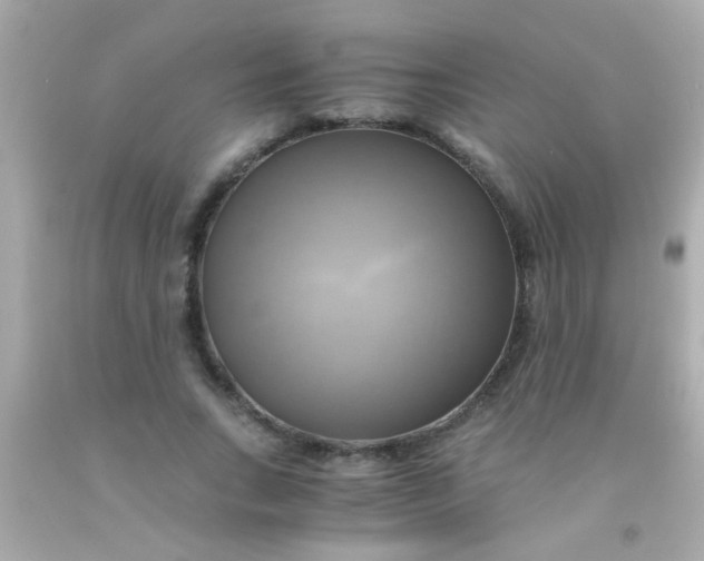 X0000091500735200709061922