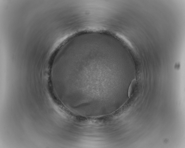 X0000091500736200709061922