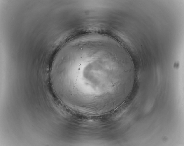 X0000091500737200709061922