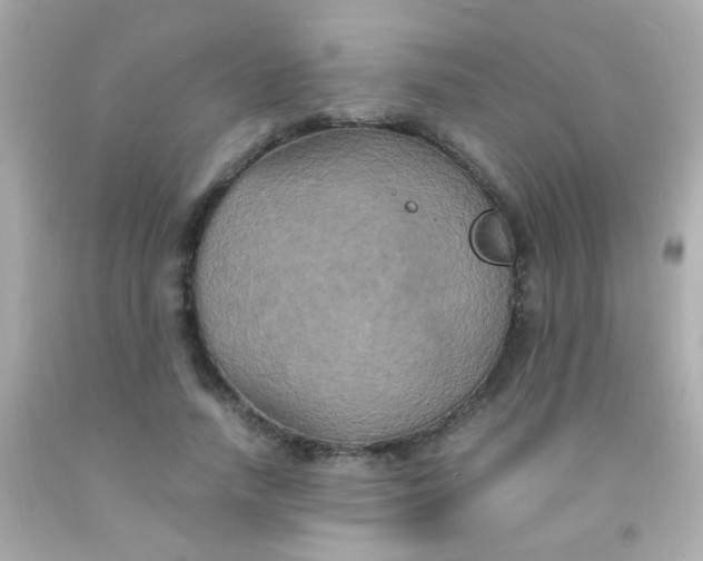 X0000091500738200709061922