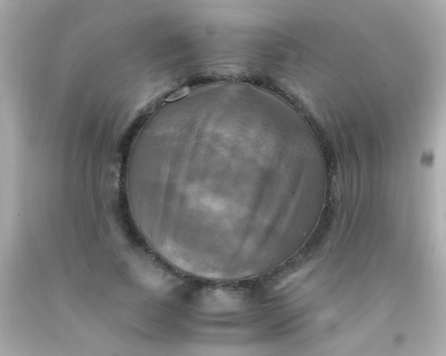 X0000091500739200709061922