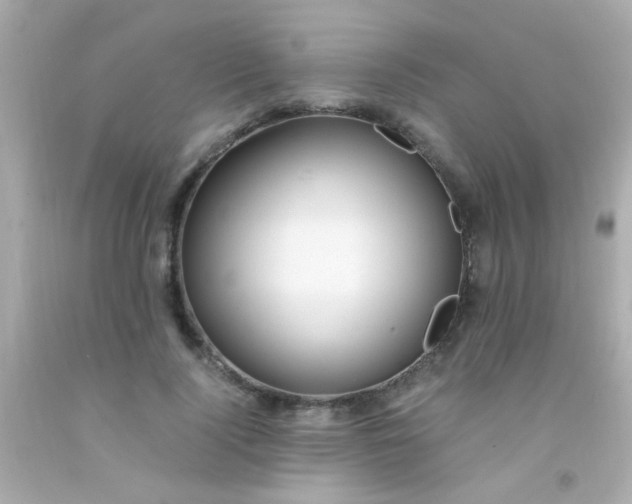 X0000091500740200709061922