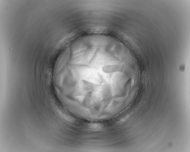 X0000091500741200709061922