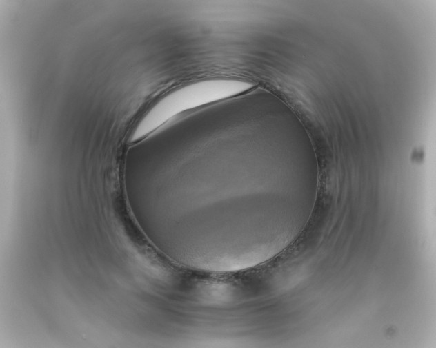 X0000091500743200709061922