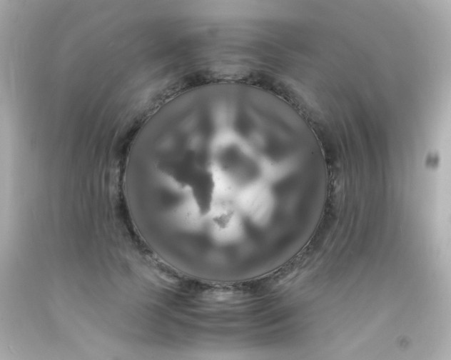 X0000091500745200709061922