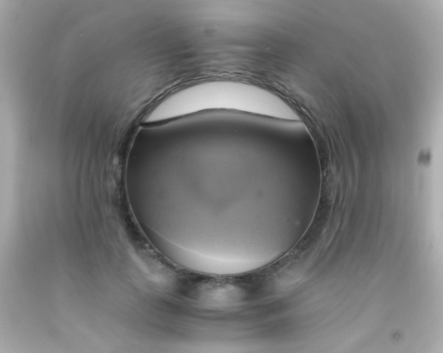 X0000091500747200709061922