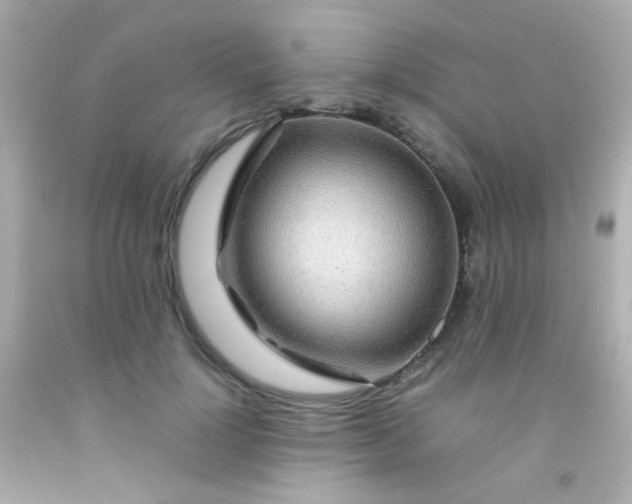 X0000091500748200709061922