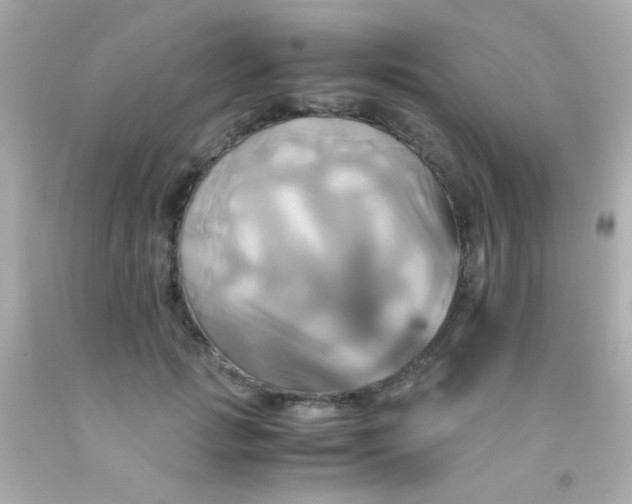 X0000091500749200709061922