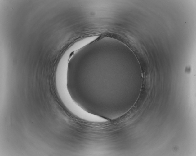 X0000091500750200709061922