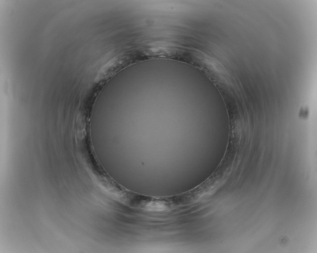 X0000091500751200709061922