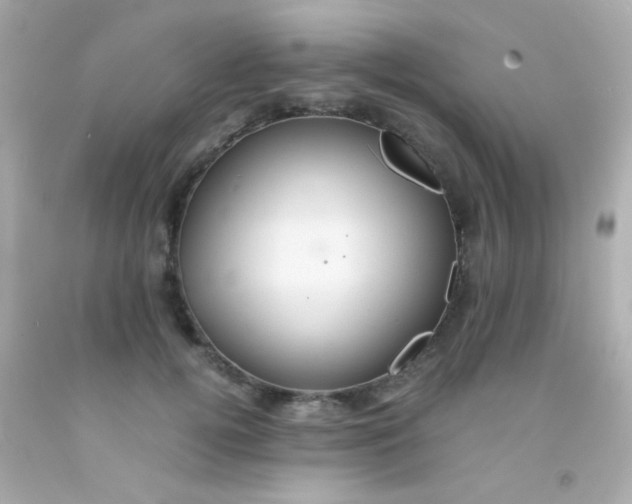 X0000091500752200709061922