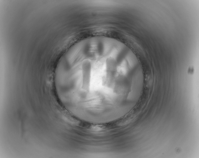 X0000091500753200709061922