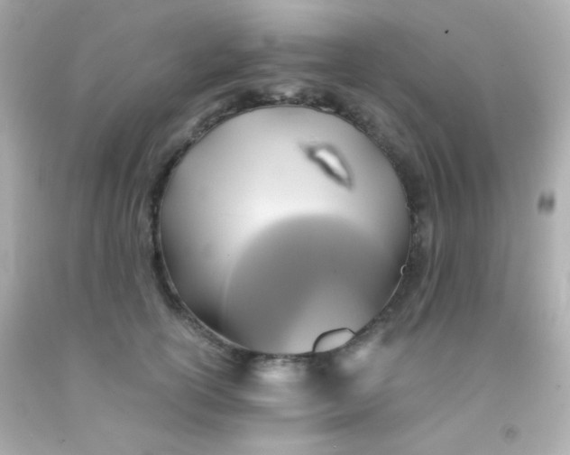 X0000091500754200709061922