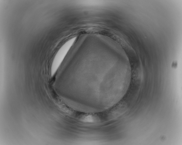 X0000091500755200709061922