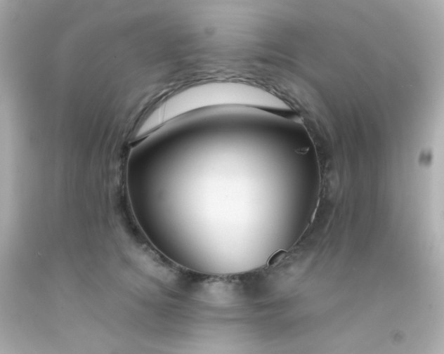 X0000091500756200709061922