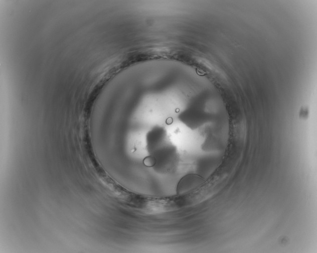 X0000091500757200709061922