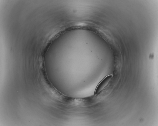 X0000091500758200709061922