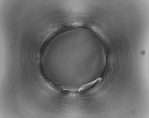 X0000091500760200709061922