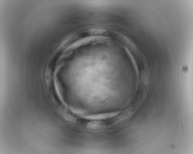 X0000091500761200709061922