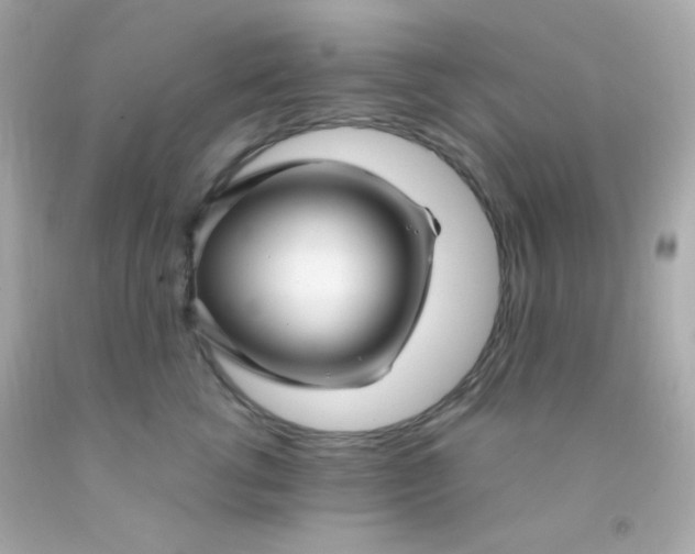 X0000091500762200709061922