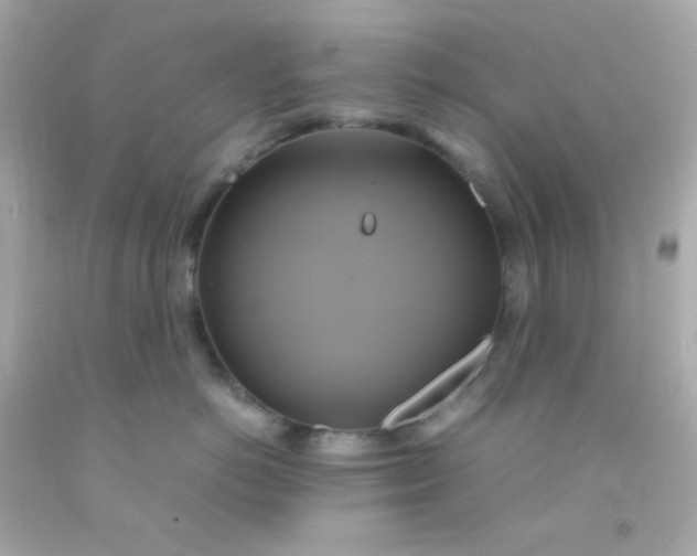 X0000091500766200709061922