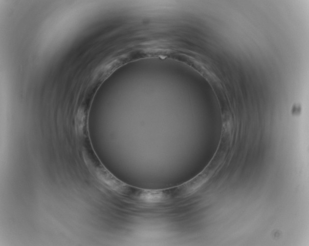 X0000091500767200709061922