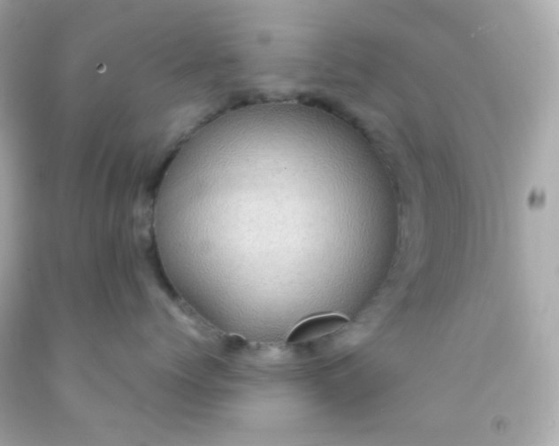 X0000091500768200709061922