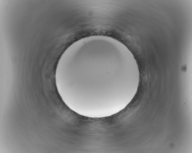 X0000091500769200709061921