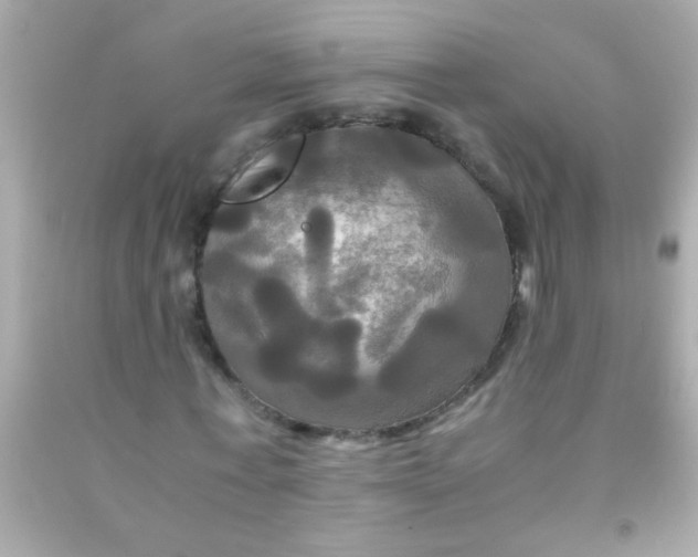 X0000091500771200709061921