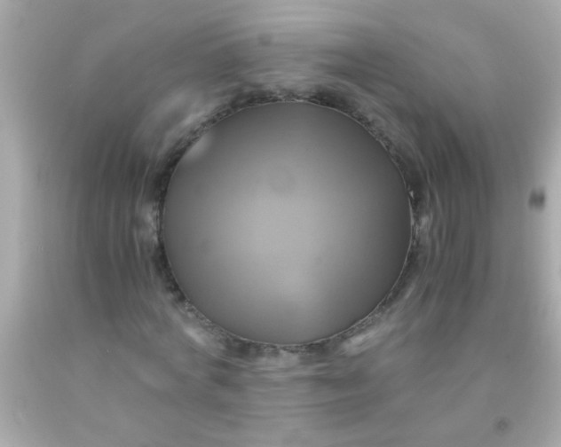 X0000091500772200709061921