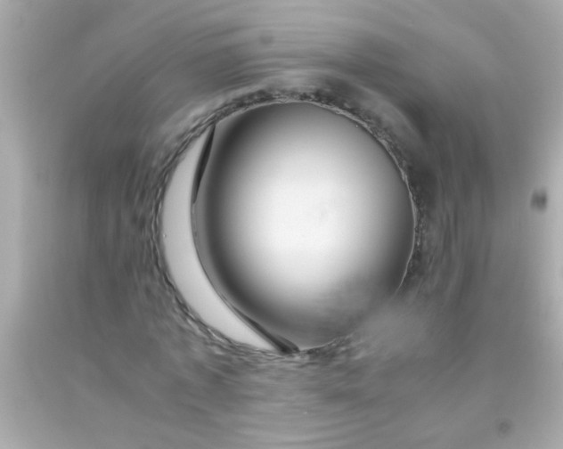 X0000091500773200709061921