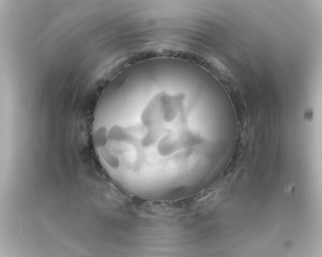 X0000091500774200709061921