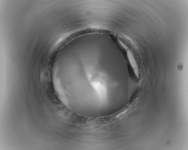 X0000091500776200709061921