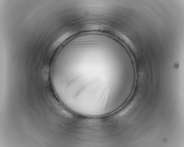 X0000091500778200709061921