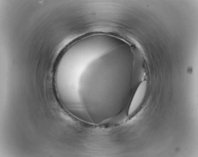 X0000091500779200709061921