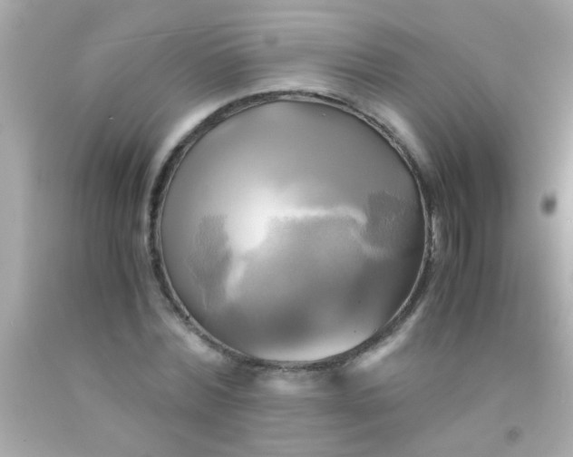 X0000091500780200709061921