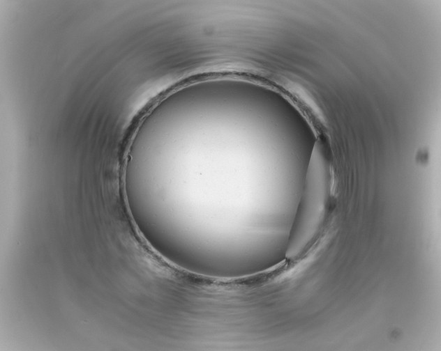 X0000091500781200709061921